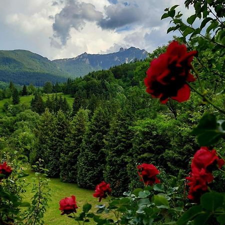 Cabana Dochita Ceahlău Esterno foto
