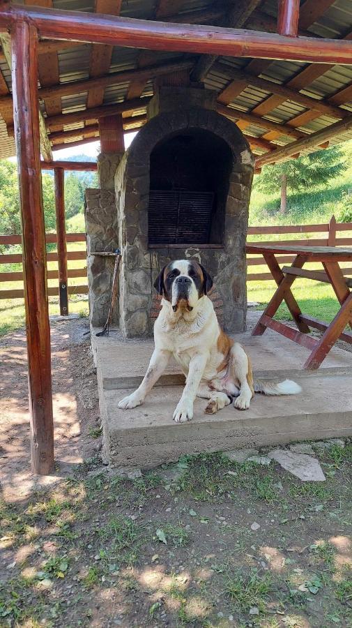 Cabana Dochita Ceahlău Esterno foto